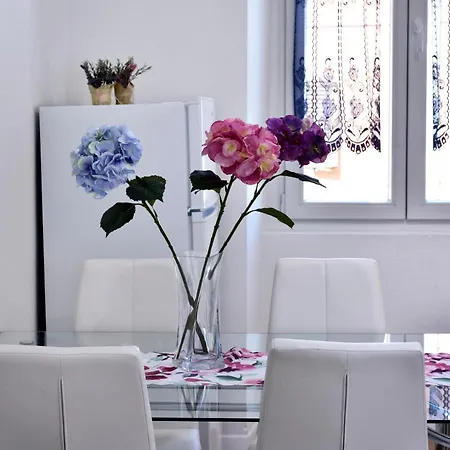 Premium Aria Apartment